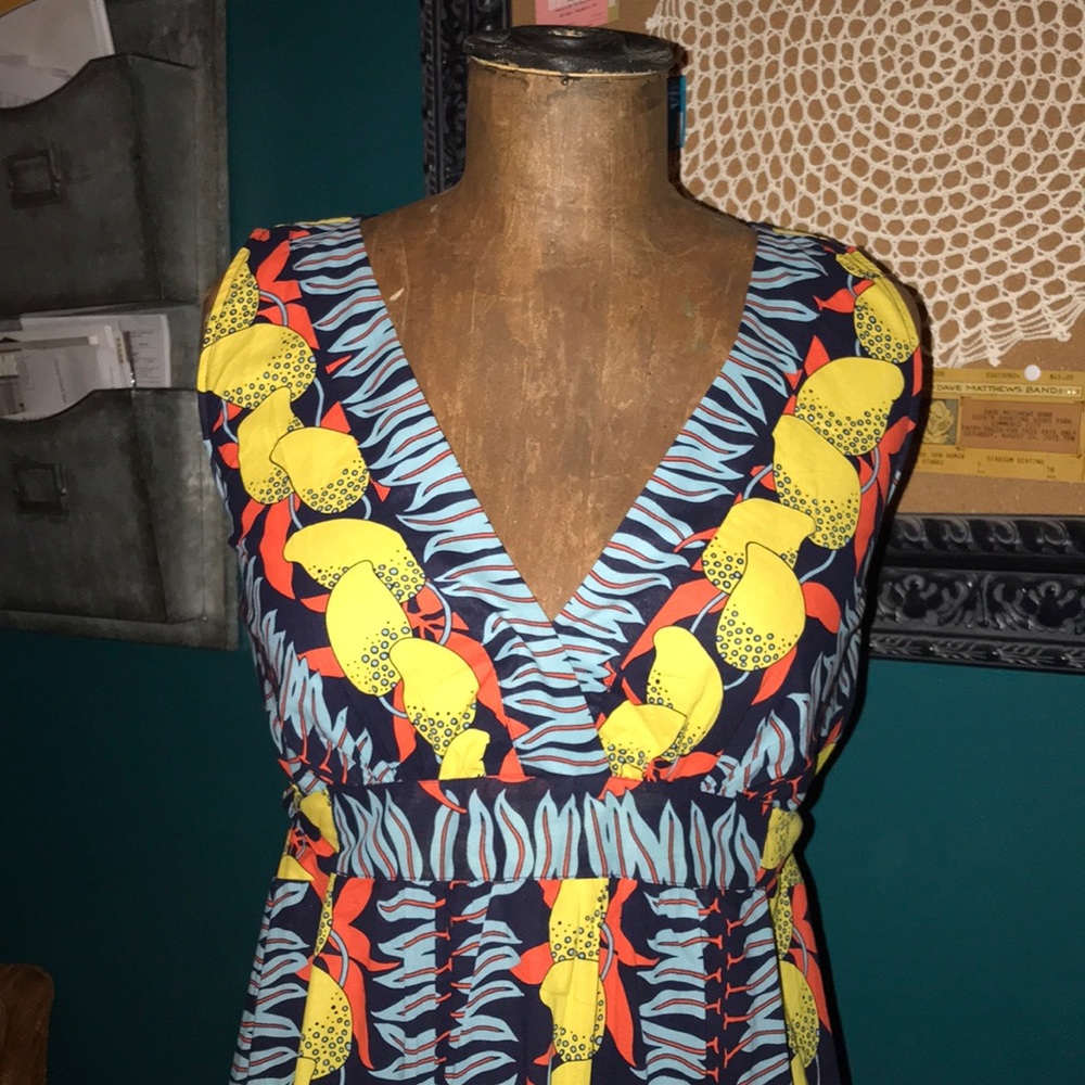CABI Maxi Dress with Lemons